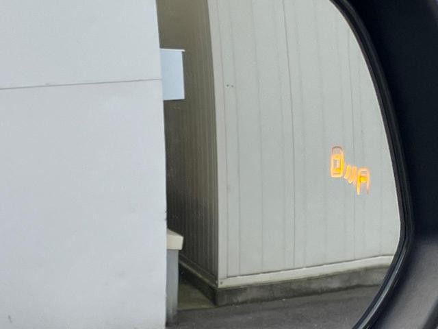 26816556_carP_l_14.jpg