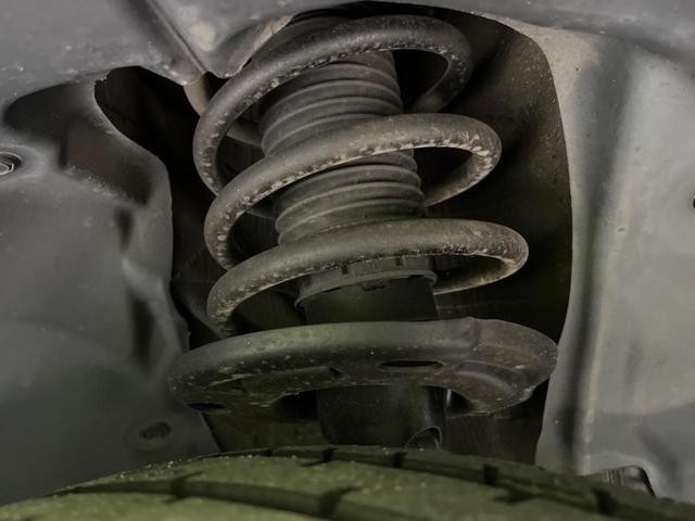 27204737_carP_l_18.jpg