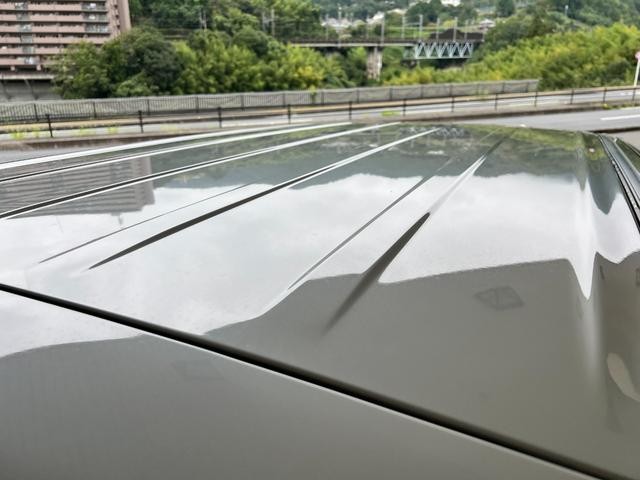 0740043A30260930W00219.jpg