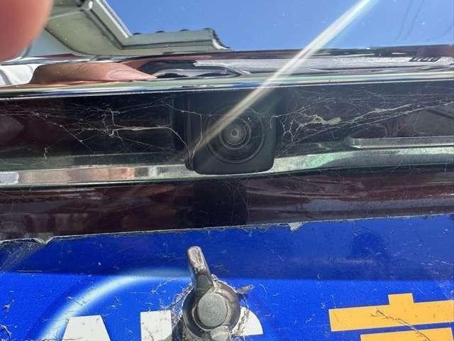 26756389_carP_l_17.jpg