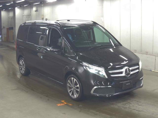 26151974_carP_l_1.jpg