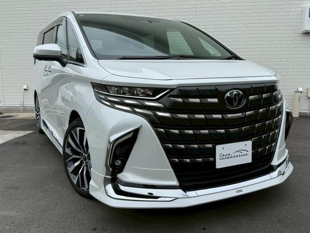 25923301_carP_l_6.jpg