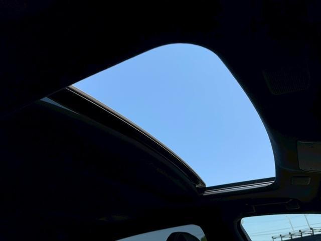 25923304_carP_l_4.jpg
