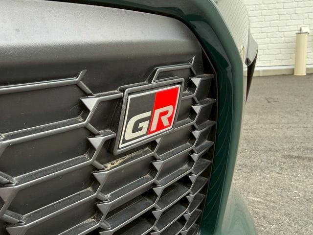 25923312_carP_l_9.jpg