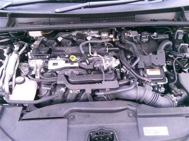 22442566_carP_l_8.jpg