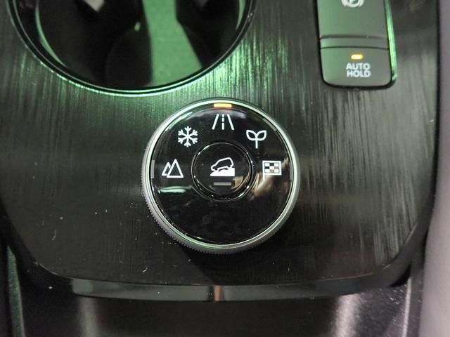 0201999A30260821W00514.jpg