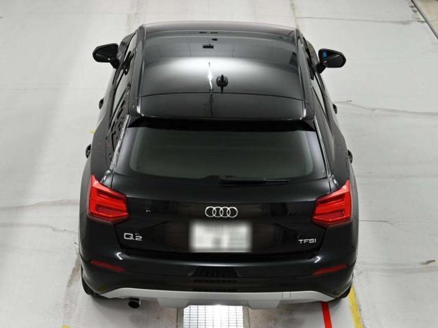 24802220_carP_l_17.jpg