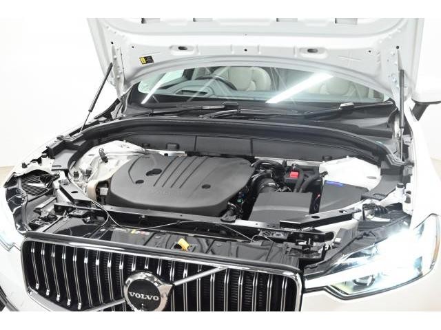 25507423_carP_l_18.jpg