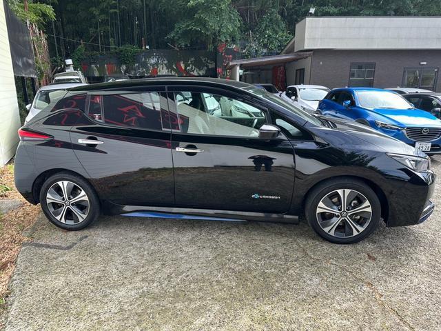 24421105_carP_l_10.jpg