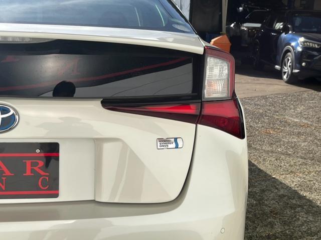24421107_carP_l_8.jpg