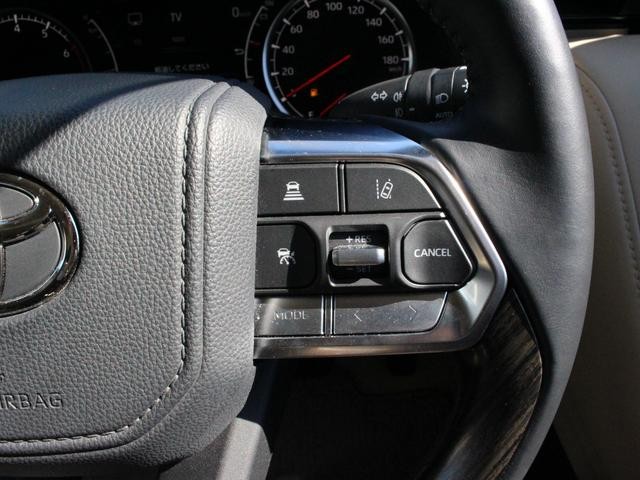 0700067A30261003W00113.jpg
