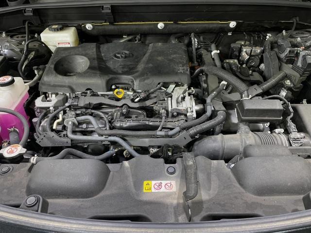 26711045_carP_l_16.jpg