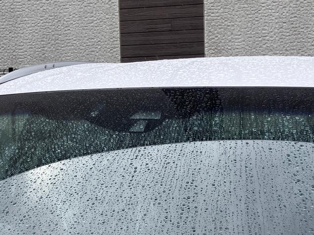 9540256A30260907W00204.jpg