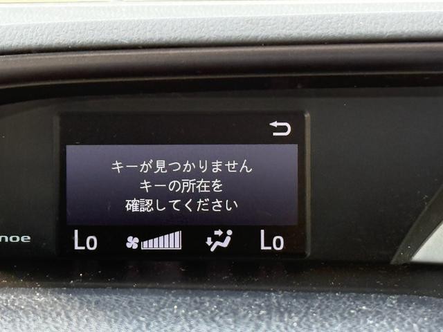 0709137A30260822W00209.jpg