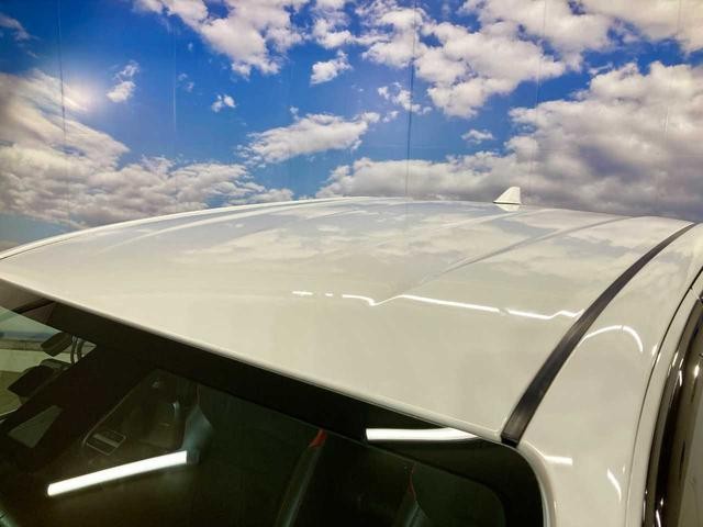 0310532A30260808W00317.jpg