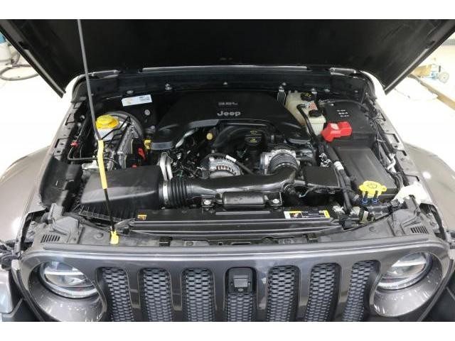 25923584_carP_l_17.jpg