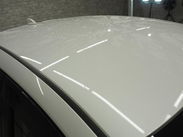 0403084A30260930W00107.jpg