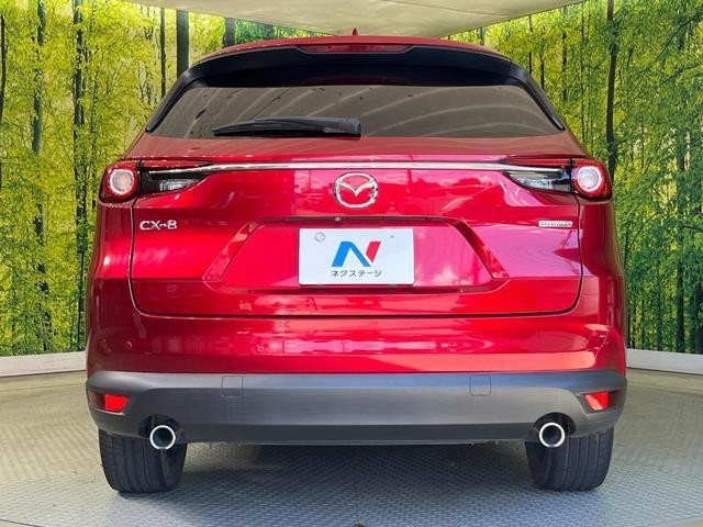 26533667_carP_l_11.jpg
