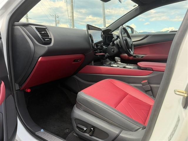 26210768_carP_l_7.jpg