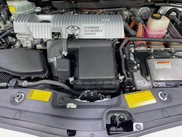 26838831_carP_l_16.jpg