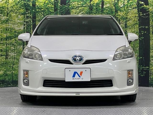 26838831_carP_l_8.jpg
