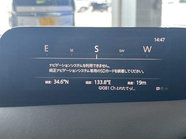 1020614A30260731W00217.jpg