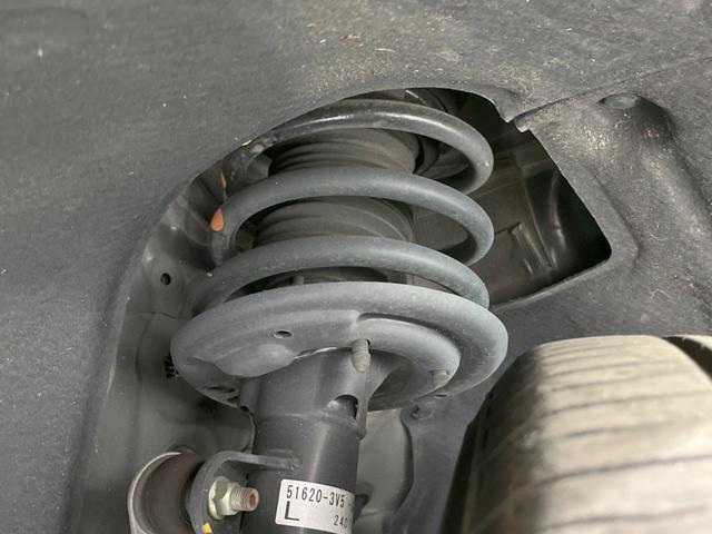 24319819_carP_l_20.jpg