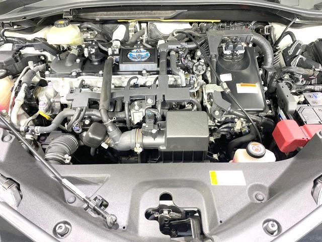 26882414_carP_l_16.jpg
