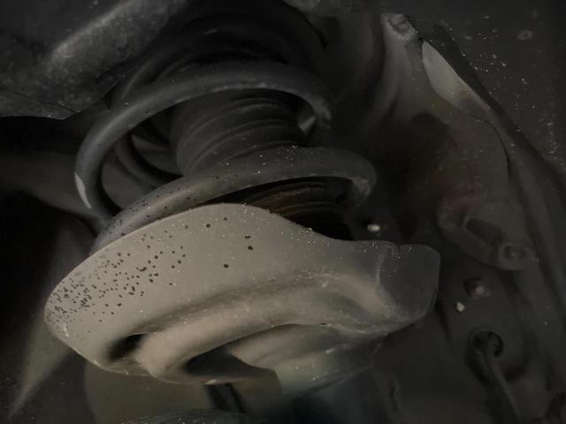 26292887_carP_l_20.jpg
