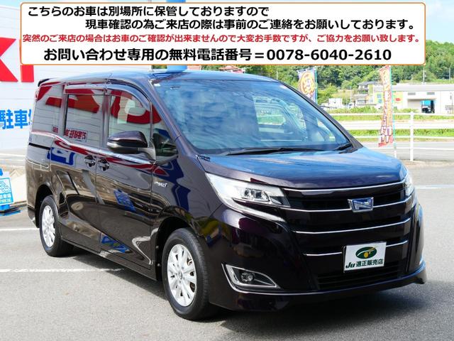 1000556A30260928W00101.jpg