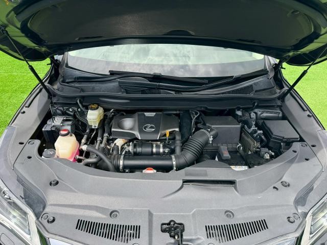 25221154_carP_l_12.jpg