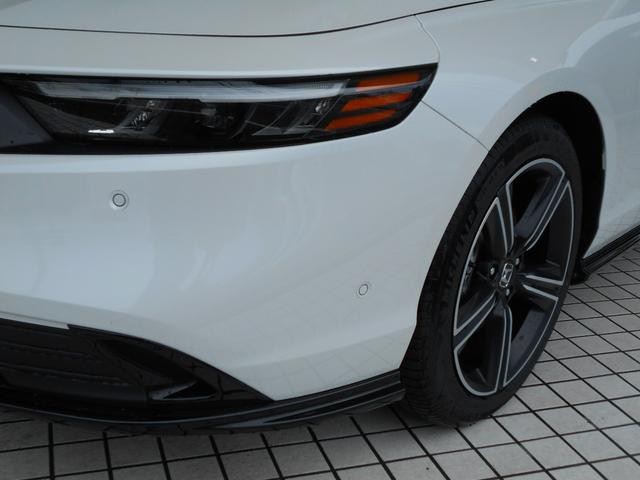 0610065A30240928W00105.jpg