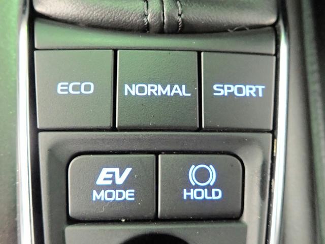 0206389A30260803W00418.jpg