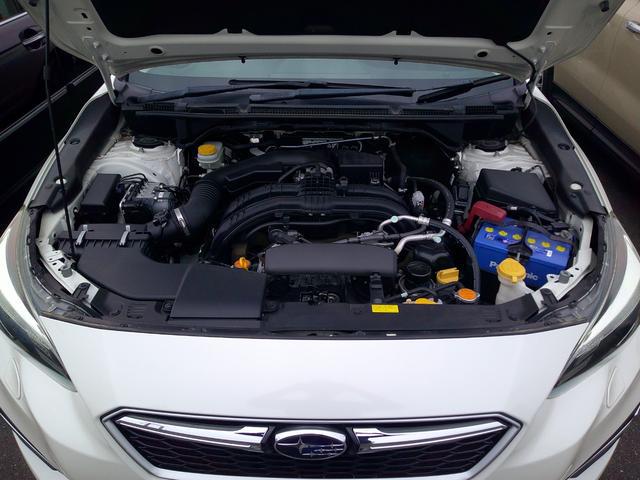 1030075A30260614W00118.jpg
