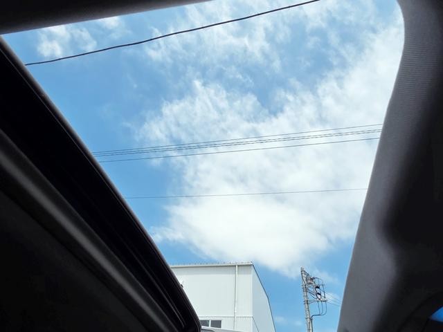 0509045A30260711W00519.jpg
