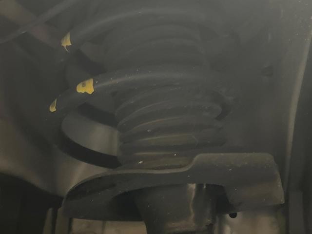 26644757_carP_l_20.jpg