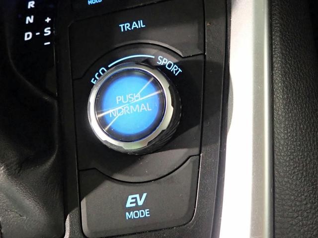 0201999A30260905W00312.jpg