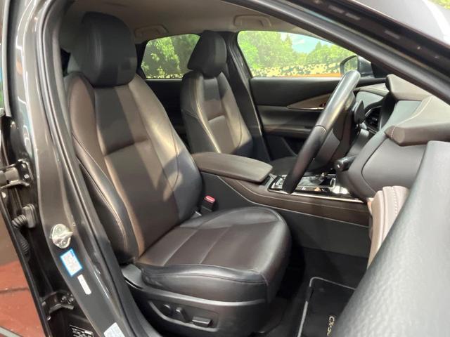 24319902_carP_l_17.jpg