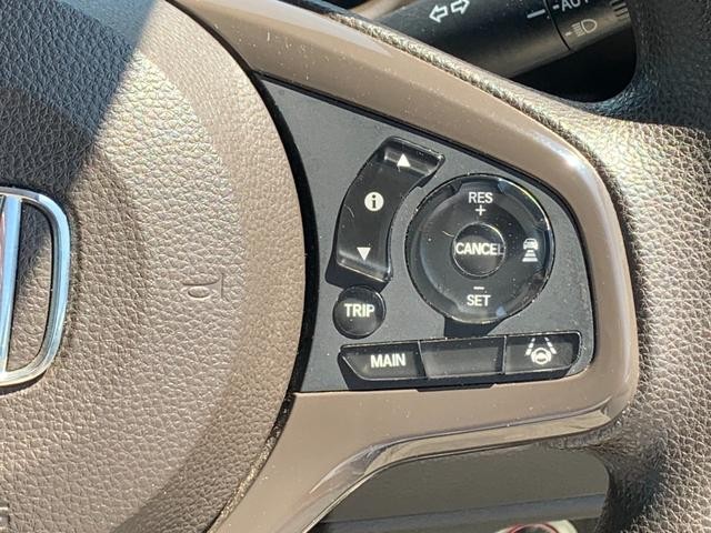 0700772A30260901W00316.jpg