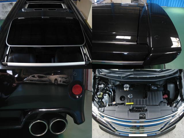5540675_carP_l_17.jpg