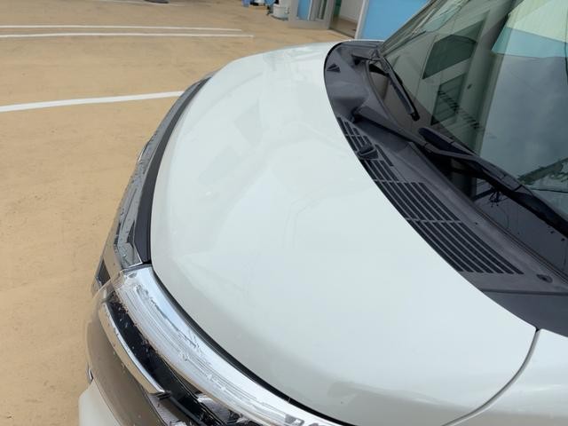 0204178A30260910W00713.jpg