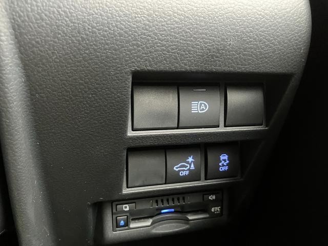 1020099A30260602W00416.jpg