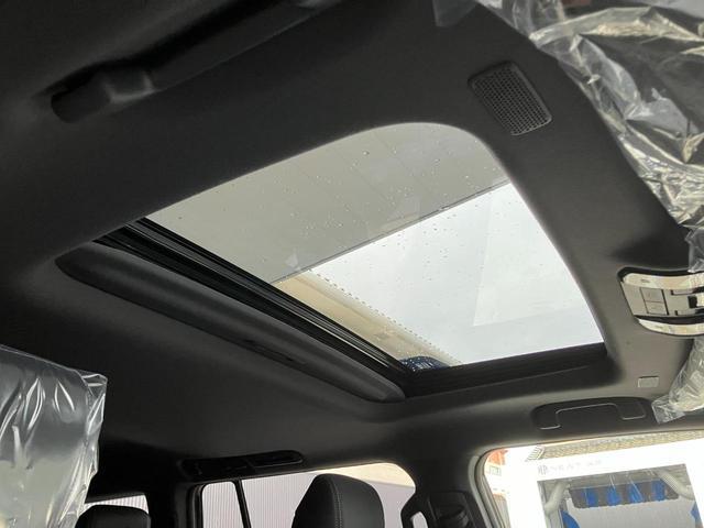 1020099A30260607W00106.jpg
