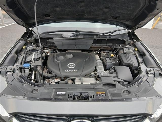 e524ec7ff731fc63e775834a9c9b8319.jpg