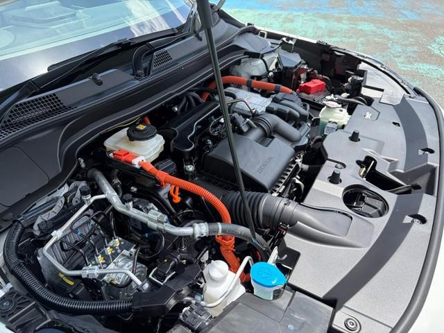 0561213A30260708W00415.jpg