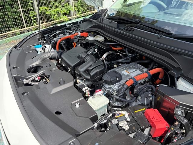 0561213A30260708W00416.jpg