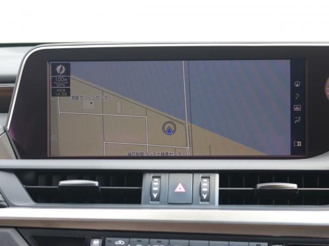 24467166_carP_l_10.jpg