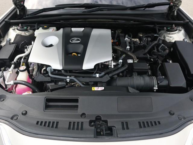 24467166_carP_l_17.jpg