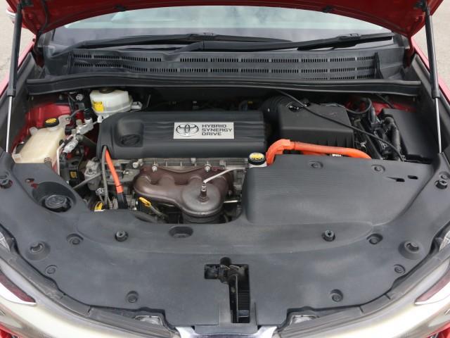 24467168_carP_l_17.jpg