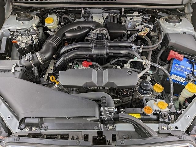 e902bf943849aeb677c572fc34be3608.jpg